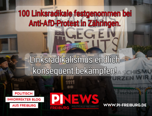 Festnahmen von 100 Linksradikalen bei Anti-AfD-Protest