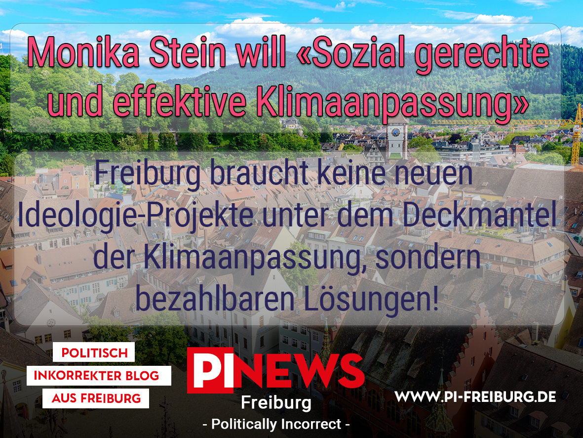 PI-Freiburg Teaser_Neu