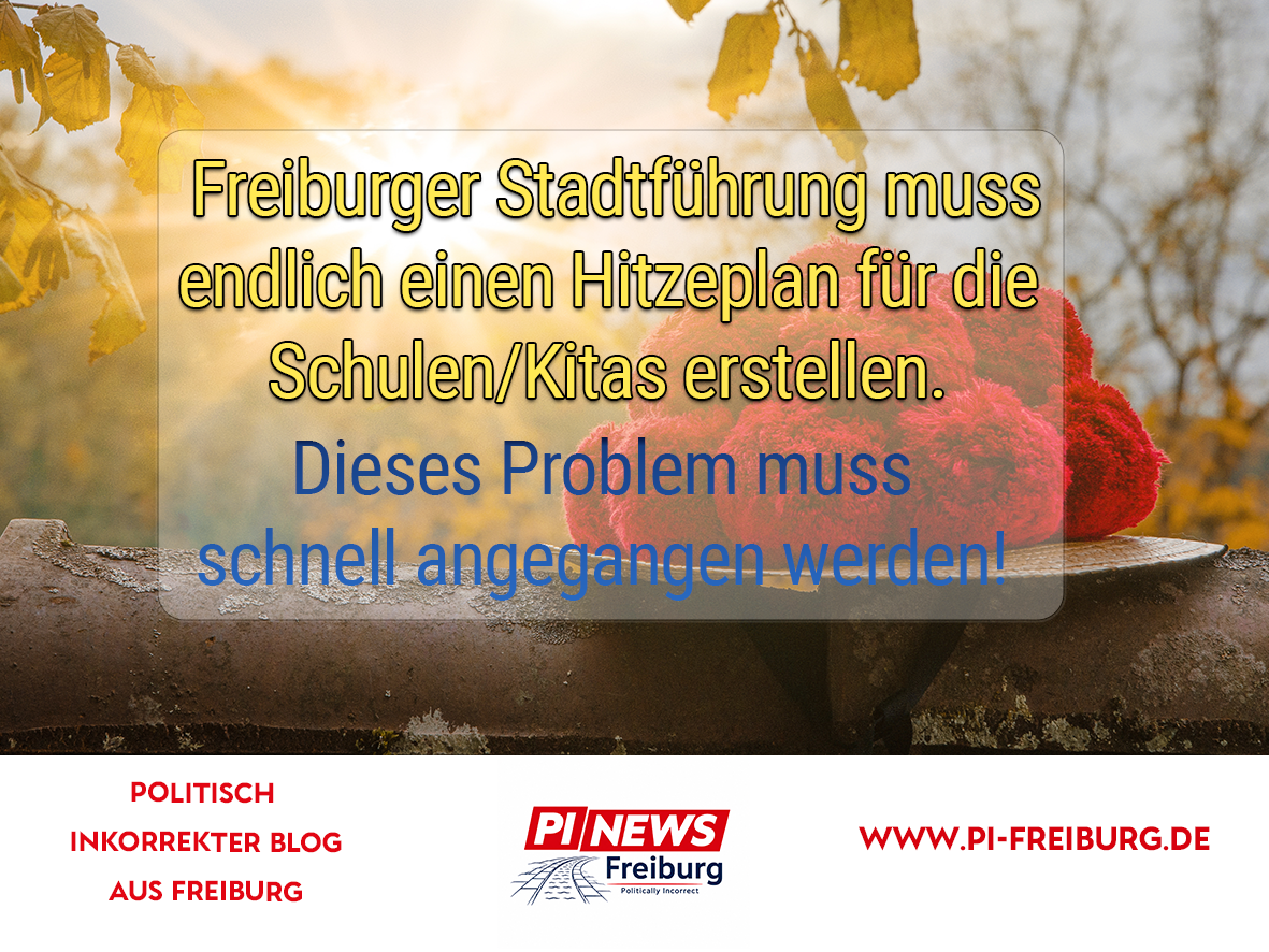 PI-Freiburg Teaser_Neu